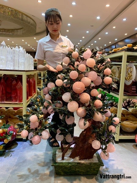 Cây Đào Đá Thạch Anh Hồng 68 Quả (Cây Nhỡ)