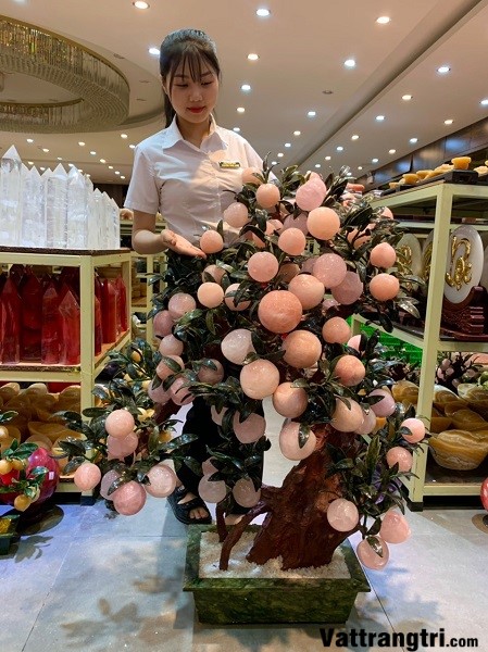 Cây Đào Đá Thạch Anh Hồng 68 Quả (Cây nhỡ)