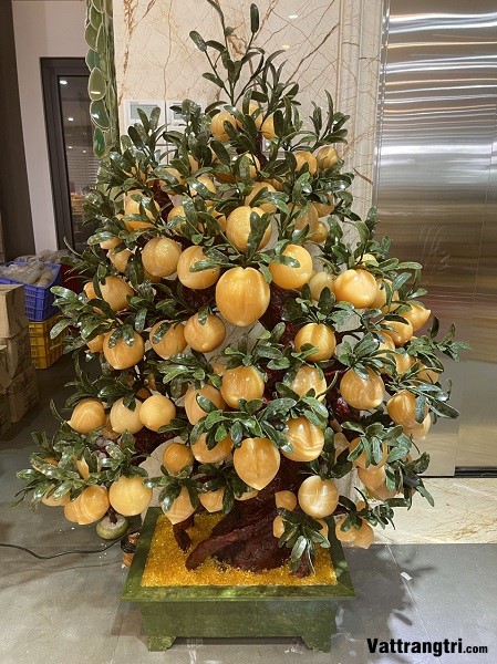 Cây đào ngọc hoàng long 138 quả (Cây To)