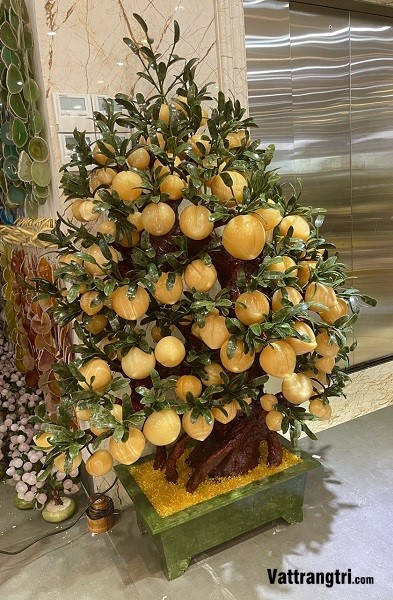 Cây đào ngọc hoàng long 138 quả (Cây To)