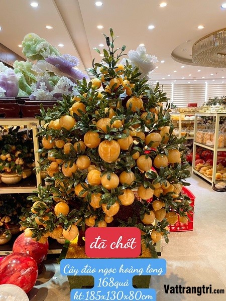 Cây đào ngọc hoàng long 138 quả (Cây To)