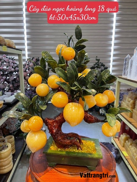 Cây đào ngọc hoàng long 18 quả 50cm (Cây nhỏ)