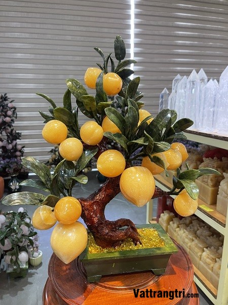 Cây đào ngọc hoàng long 18 quả 50cm (Cây nhỏ)