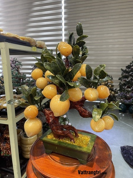 Cây đào ngọc hoàng long 18 quả 50cm (Cây nhỏ)