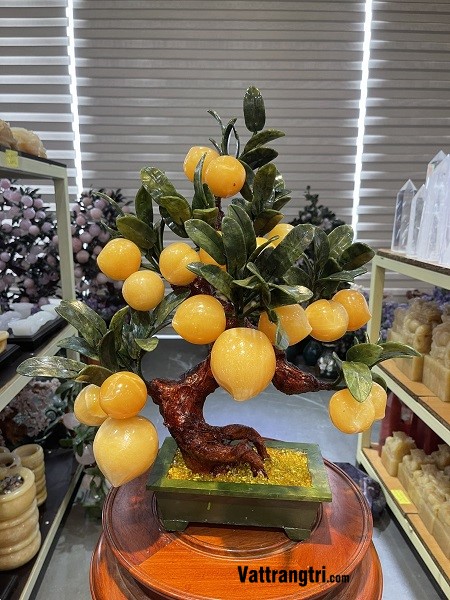 Cây đào ngọc hoàng long 18 quả 50cm (Cây nhỏ)