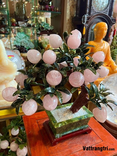 Cây đào thạch anh hồng 18 quả 45cm (Cây nhỏ)