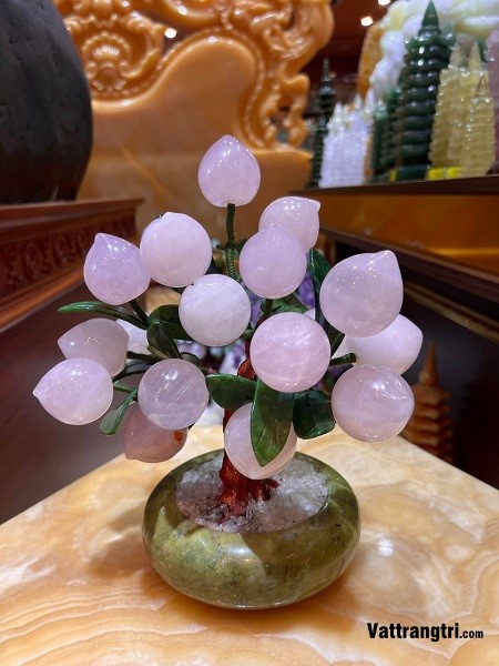 Cây đào thạch anh tím 18 quả 25cm (Cây nhỏ)