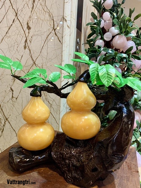 Cây hồ lô phu thê Ngọc Hoàng long 40cm