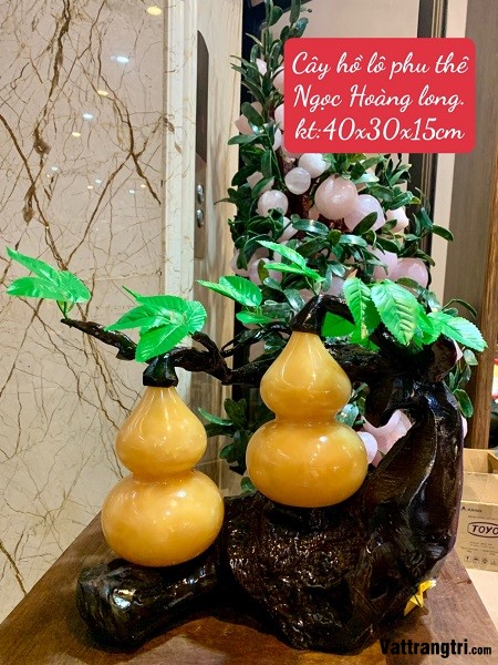 Cây hồ lô phu thê Ngọc Hoàng long 40cm