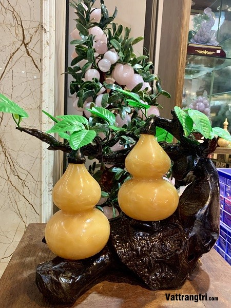 Cây hồ lô phu thê Ngọc Hoàng long 40cm