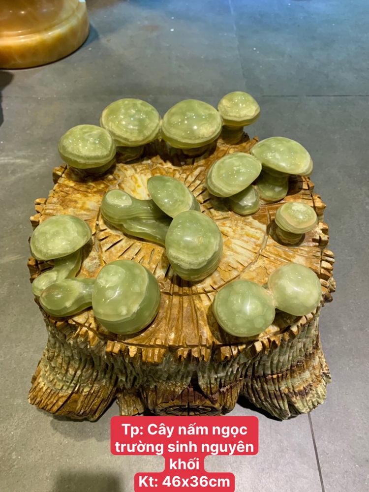 Cây nấm ngọc trường sinh nguyên khối ngọc onyx