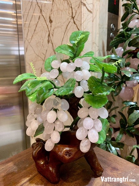 Cây nho đá thạch anh hồng 30cm