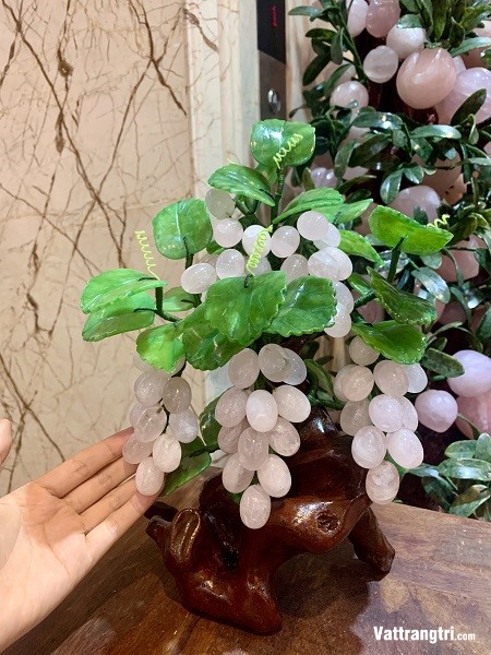 Cây nho đá thạch anh hồng 30cm