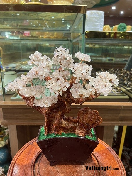 Cây tài lộc hình quạt Ngọc mã não đỏ 32cm