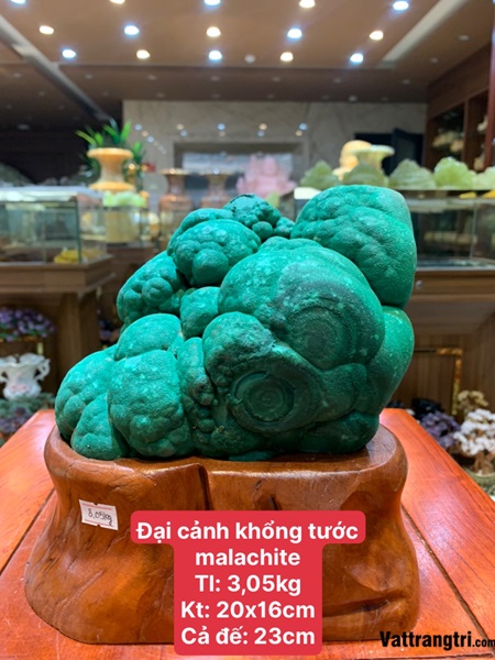 Đại cảnh khổng tước malachite 23cm