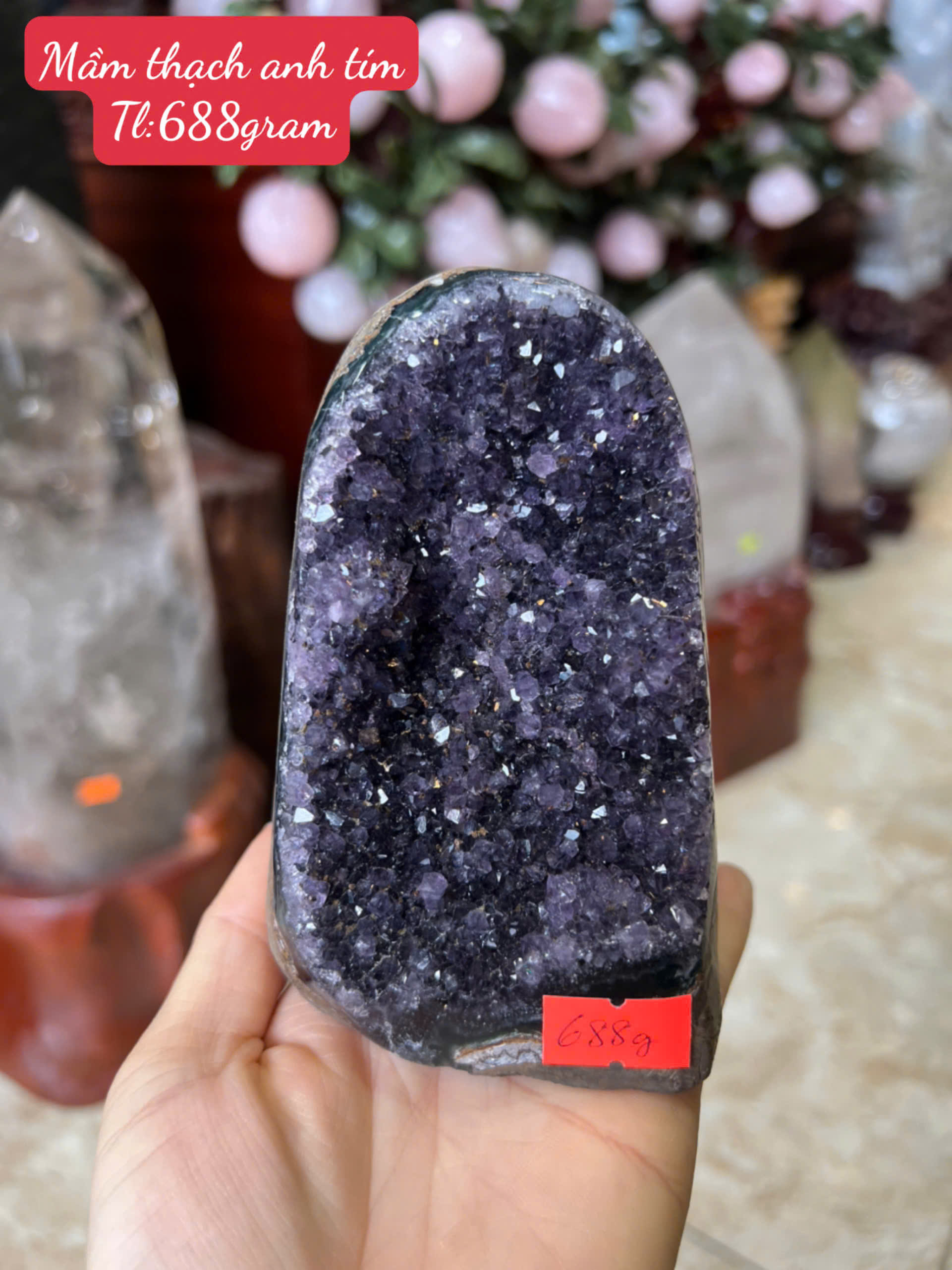Mầm Tinh Thể Thạch Anh Tím Tụ Quang Chiêu Tài