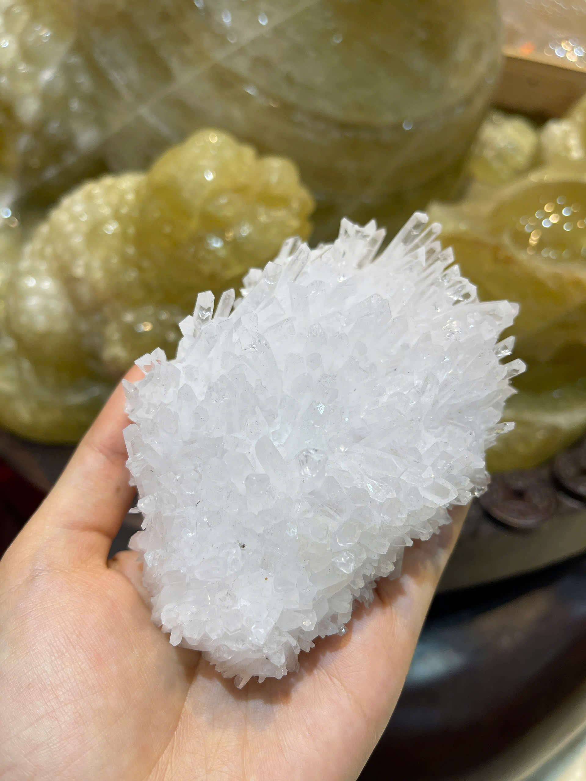 Mầm Tinh Thể Thạch Anh Trắng Bạch Kim Tinh Khiết