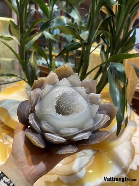 Hoa sen thu hút tài lộc Ngọc mã não 16cm