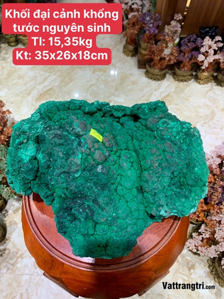 Khối đại cảnh khổng tước nguyên sinh 35m