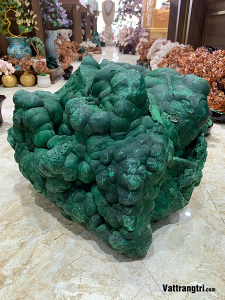 Khối đại cảnh khổng tước nguyên sinh siêu lớn 50m