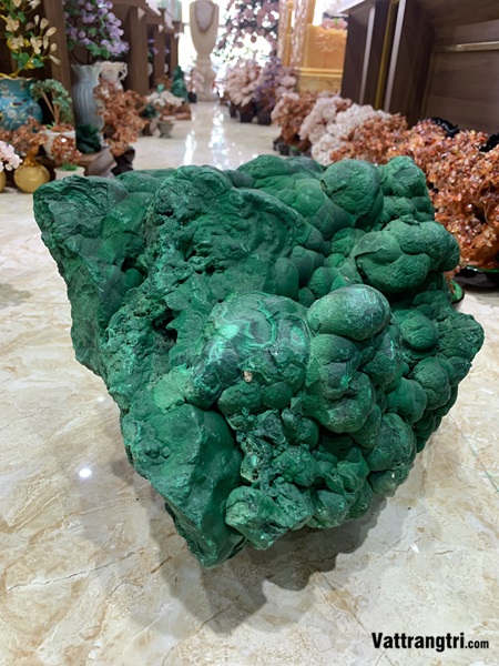 Khối đại cảnh khổng tước nguyên sinh siêu lớn 50m