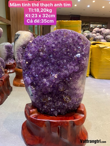 Mầm tinh thể thạch anh tím 30cm