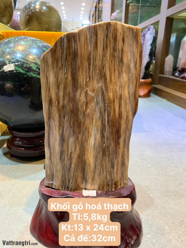 Khối gỗ hoá thạch 24cm