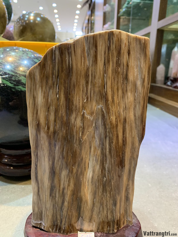 Khối gỗ hoá thạch 24cm