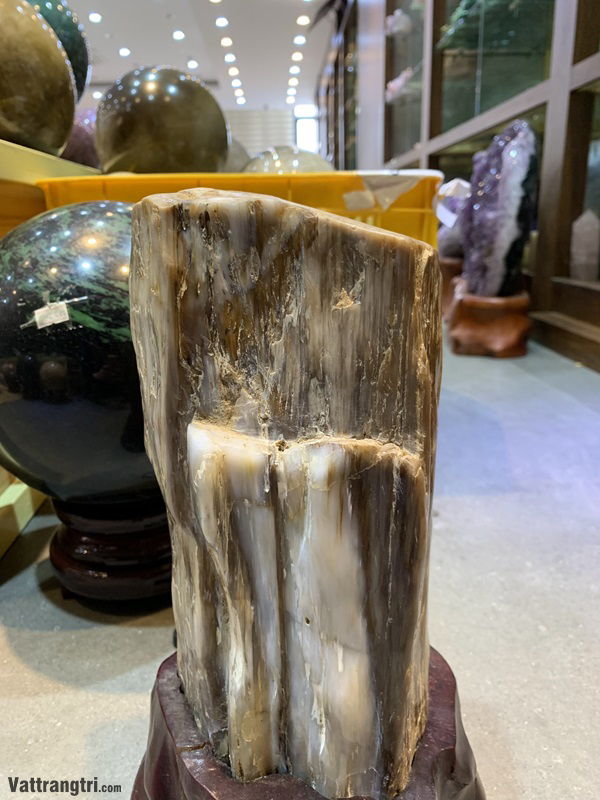 Khối gỗ hoá thạch 24cm