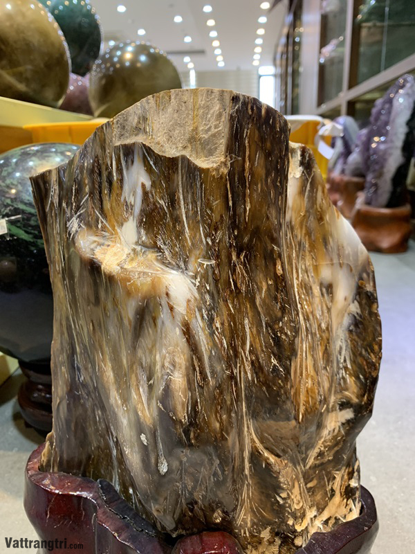 Khối gỗ hoá thạch trang trí cho Mệnh Mộc 23cm