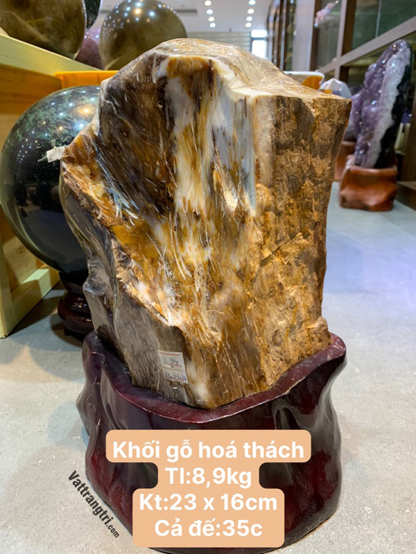 Khối gỗ hoá thạch trang trí cho Mệnh Mộc 23cm