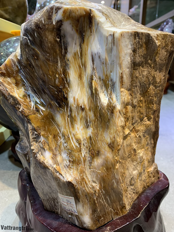 Khối gỗ hoá thạch trang trí cho Mệnh Mộc 23cm