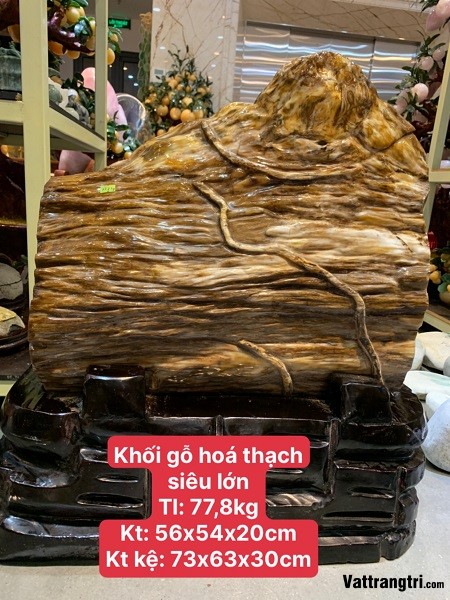 Khối gỗ ngọc hoá thạch siêu vip 56cm