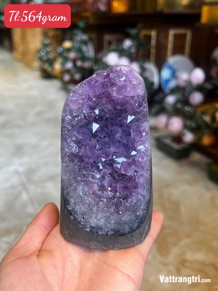 Mầm đá thạch anh tím 0.5kg