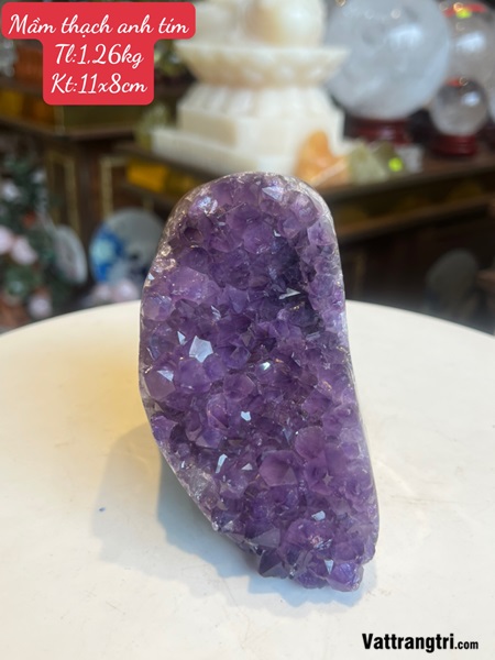 Mầm đá thạch anh tím 11cm