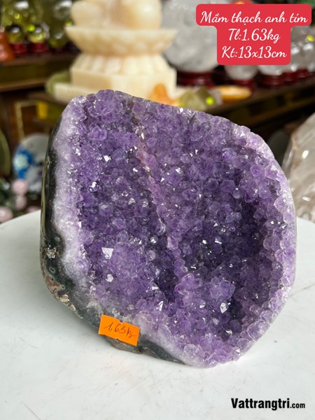 Mầm đá thạch anh tím 13m