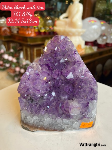 Mầm đá thạch anh tím 14.5cm