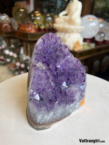 Mầm đá thạch anh tím 14.5cm