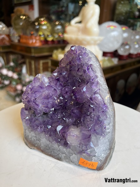 Mầm đá thạch anh tím 14.5cm