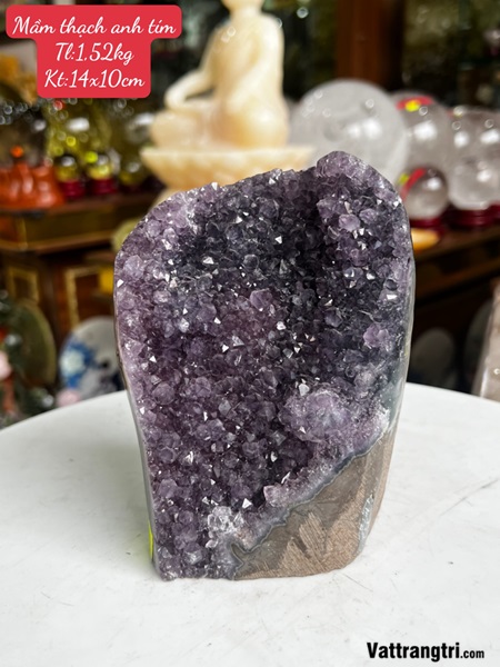 Mầm đá thạch anh tím 14m