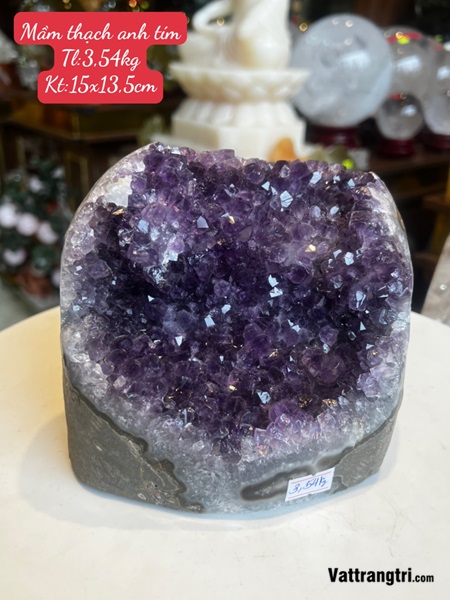 Mầm đá thạch anh tím 15cm
