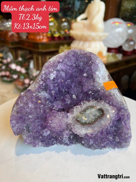 Mầm đá thạch anh tím 15cm