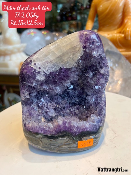 Mầm đá thạch anh tím 15cm