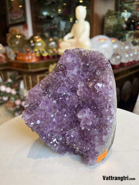 Mầm đá thạch anh tím 15cm