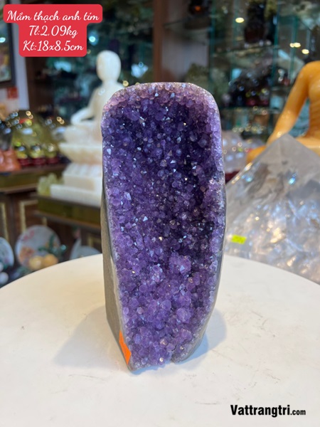 Mầm đá thạch anh tím 18cm