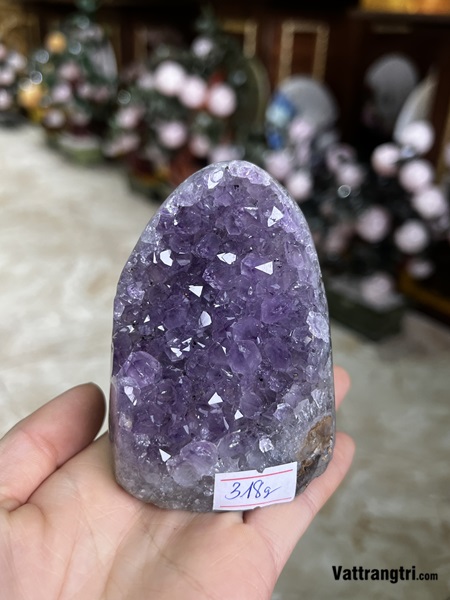 Mầm đá thạch anh tím mini