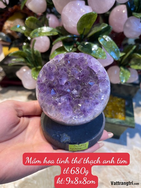 Mầm hoa tinh thể thạch anh tím - để bàn 640g 02