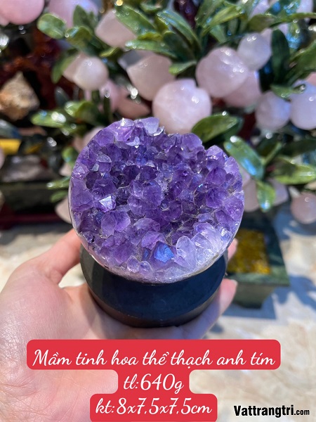 Mầm hoa tinh thể thạch anh tím - để bàn 640g