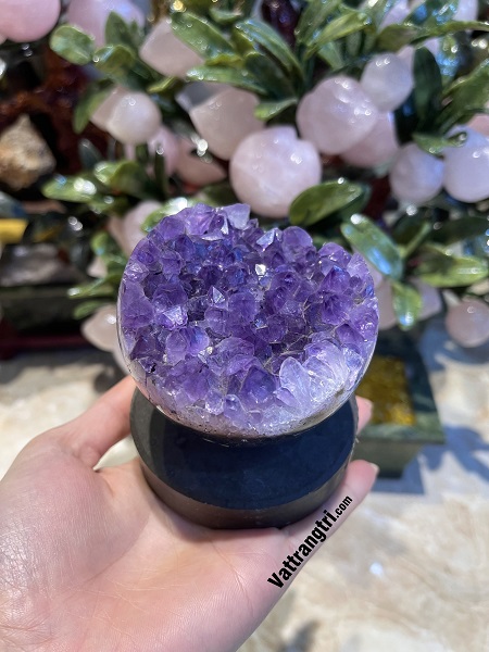 Mầm hoa tinh thể thạch anh tím - để bàn 640g