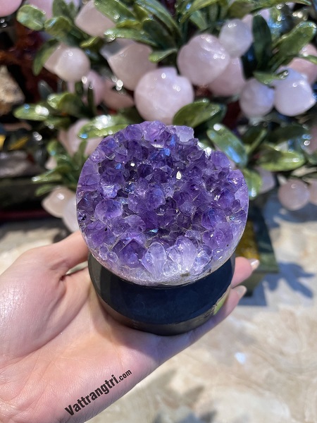 Mầm hoa tinh thể thạch anh tím - để bàn 640g